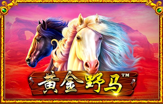 澳发彩票8iccapp最新版本